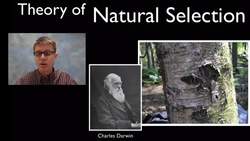 Practice 6 - Constructing Explanations and Designing Solutions Instructional Video