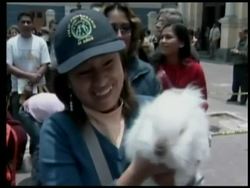 Scores of pets - and their owners - attended a special blessing for animals this weekend at a convent dedicated to St. Francis of Assisi, the Catholic patron saint of animals.  (Oct. 8) News Clip