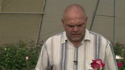 VOICED: Kenya flower farms go green to beat economic crisis News Clip