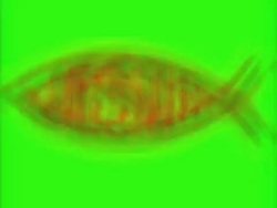 Jesus Fish Overdrive Stock Footage