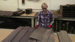 Logging rules put pressure on musical instrument makers News Clip