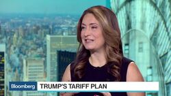 Will Trump's Tariff Plan Fly? News Clip