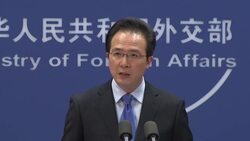 Foreign affairs spokesman on France march, press freedom News Clip