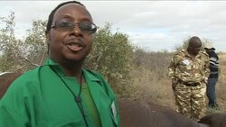 CLEAN: Kenya conservationists launch tag system to News Clip