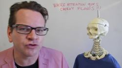 The Whiskey Rebellion Explained in One Minute Instructional Video