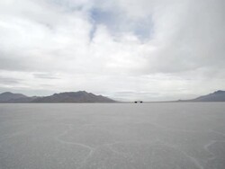 Slow motion of horses running. Stock Footage