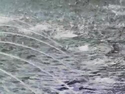 CU Shot of water in fountain / Nairobi, Kenya Stock Footage