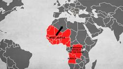 The real story of McMafia: How global crime networks work - Misha Glenny Instructional Video