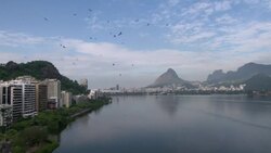 Fish dying at Olympic rowing venue Instructional Video