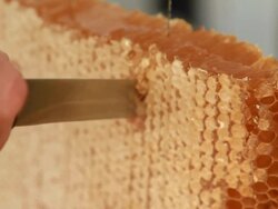 cutting a piece of scented honeycomb, concept of healthy eating Stock Footage