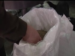 Bella Coley, Chief Operating Officer of Alaska Distillery, spoke with the AP about the company''s hemp vodka product.  She says the hemp seeds they use do not contain THC and adds ''it''s a great, hardy vodka so you can do any type of drink with it.'' News Clip