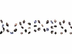 HD: Presenting Business Stock Footage