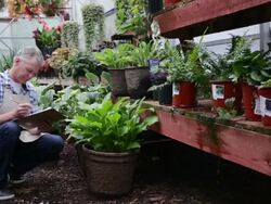Worker with clipboard in plant nursery greenhouse Stock Footage