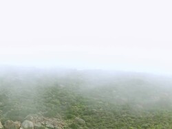 WS TD Shot of Low growing fynbos covering boulder strewn mountain slopes shrouded in mist / Namaqualand, Northern Cape, South Africa Stock Footage