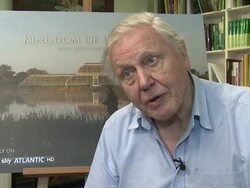 INTERVIEW: David Attenborough on human population Stock Footage