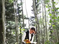 Hispanic woman writing in journal in forest Stock Footage
