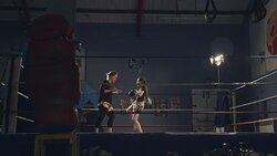 Young Kickboxer Training Stock Footage