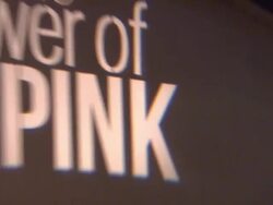 ATMOSPHERE: Signage at St. John's Health Center's Power Of Pink Benefiting The Margie Petersen Breast Center Stock Footage
