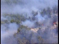 ISRAEL: FOREST FIRES RAVAGE THOUSANDS OF ACRES OF LAND: UPDATE News Clip