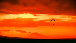 Paraglider silhouette at sunset Stock Footage