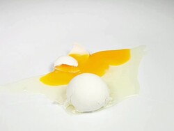 Cracked Egg Stock Footage