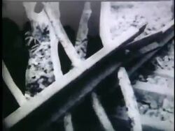 1950s B/W MONTAGE Group of Viet Cong members disassembling train track / North Vietnam Stock Footage