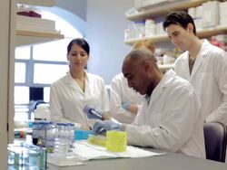 MS PAN Lab technicians watching man using micro-pipette at Cancer research Healthcare medicine Industry  DNA sequencing Laboratory / Vancouver, BC, Canada    Stock Footage