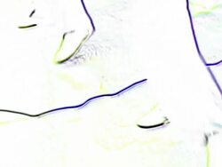 HD: Animated Aerobic Exercising Stock Footage