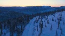 A dogsled trail runs through the Canadian wilderness. Stock Footage