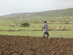 Man sowing seeds Stock Footage