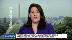 Trump's Plan to Sell Off Half of U.S. Oil Reserve News Clip