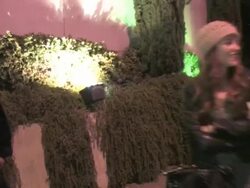 Dichen Lachman outside Falcon in West Hollywood at the Celebrity Sightings in Los Angeles at Los Angeles CA. (Footage by WireImage Video/GettyImages) Stock Footage