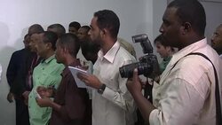 CLEAN : Swiss aid worker kidnapped in Darfur freed News Clip