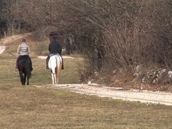 HD: Horseriding In Nature Stock Footage