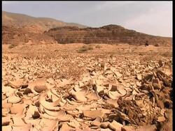 Rain brings the desert back to life News Clip