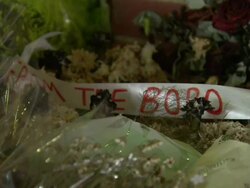 Newcastle football fans pay tribute to MH17 victims News Clip