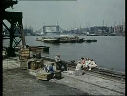 Blackfriars waterman, views of Tower Bridge and cranes, London, UK, 1963 Stock Footage