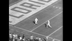 Florida Gators Vs. Auburn Tigers Football Game Stock Footage