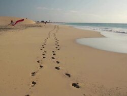 MS View of Foot print on sand in front of dune at beach near Santa Maria / Santa Maria, Sal, Cape Verde Stock Footage