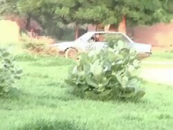 Special Forces Hunt For Boko Haram In Cameroon News Clip