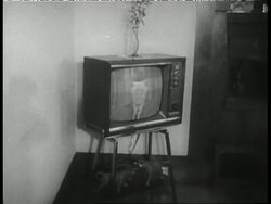 Families watch the televised debate between Senator John F. Kennedy and Senator Richard Nixon in 1960. Stock Footage