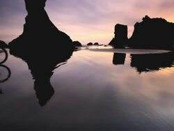 MS POV Man riding mountain bike on beach at sunset / Port Orford, Oregon, United States  Stock Footage