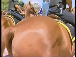 Mothers of the Plaza de Mayo join protests clashing with police News Clip