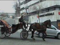 Will Canada welcome Prince William and Kate? News Clip