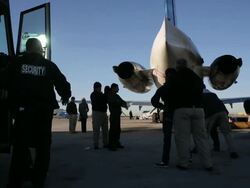 Immigration detainees being searched and loaded Stock Footage