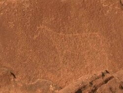 Rock art at Twyfelfontein, North Western Namibia. National Monument and World Heritage Site Stock Footage