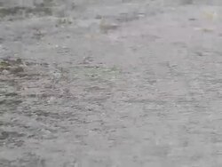 Raindrop Stock Footage