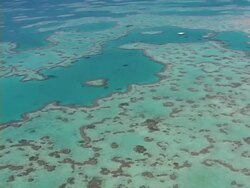 Great Barrier Reef Stock Footage