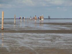WS View of people walking down in sea ebb tide at wadden sea, North Sea North Frisia / Westerhever, Schleswig Holstein, Germany Stock Footage