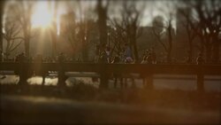 New York City Central Park people relaxing at sunset Stock Footage